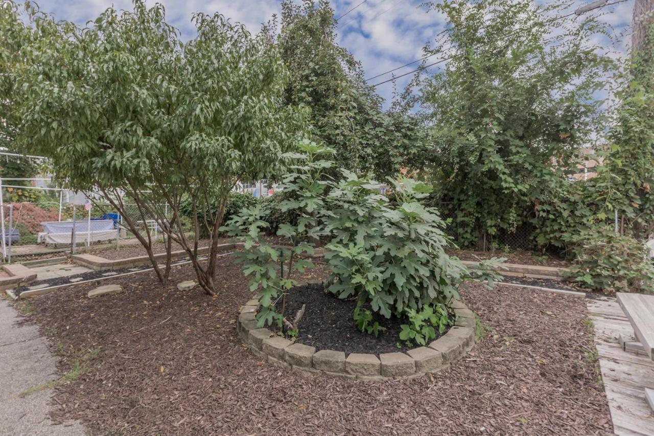 In The Heart Of Little Italy! Free Parking! Apartment Cleveland Exterior photo